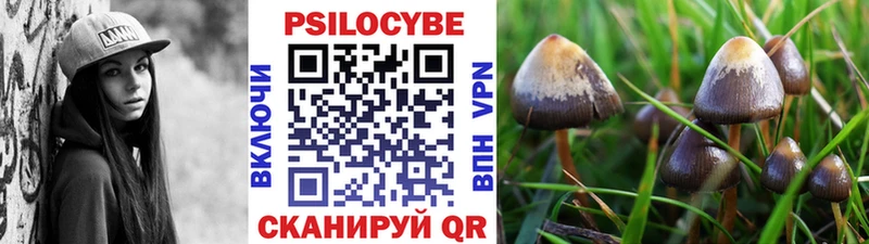 купить наркотики цена  Курлово  Галлюциногенные грибы GOLDEN TEACHER 